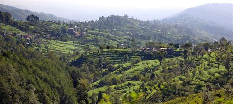 nepal kathmandu teer|Nepal uses nature to strengthen resilience against floods and .